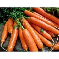Морква Натофі 0,5 кг (SATIMEX)