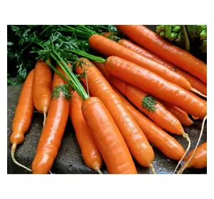 Морква Натофі 0,5 кг (SATIMEX)