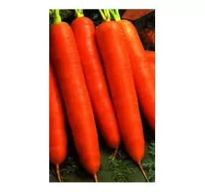 Морква Червоний велетень 0,5 кг (SATIMEX)