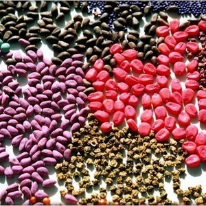 Препарати для протруювання насіння Препарати для протруювання насіння