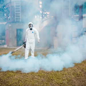 Препарати для боротьби зі шкідниками запасів Препарати для боротьби зі шкідниками запасів