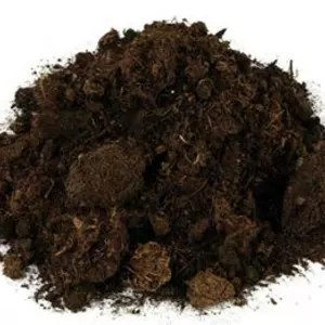 Загальне Загальне